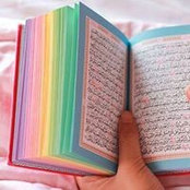 Mai H. Dawoud's photo