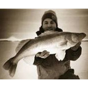 Tim Niccum's photo