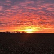 Tyler Lang's photo