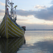 Ryan Dzierzek's photo