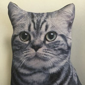 Samantha Wueste's photo