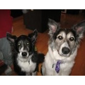 Dee Garagnani's photo