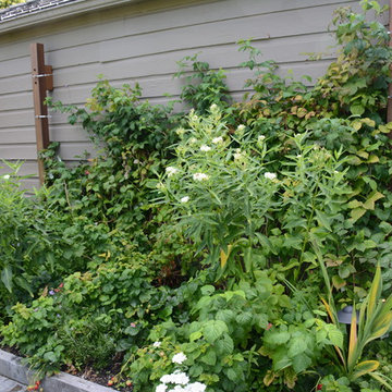 Raised Vegetable Bed / Ornamental Garden 2016