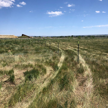Laurel Horse Corral