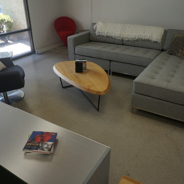 Mid Century Modern Living Room