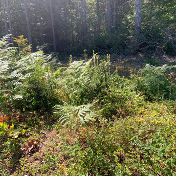 Zen Garden in Union