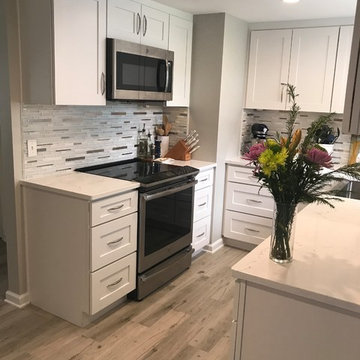 Jax Beach Kitchen Renovation