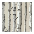 Irvin Gray Birch Tree Wallpaper, Bolt