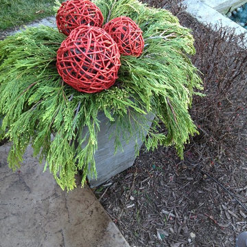 Winter Containers