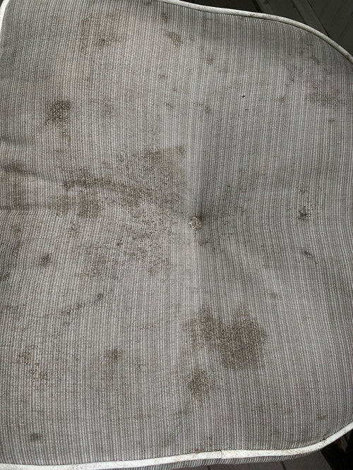 Mold On Outdoor Cushions, How To Get Mold Out Of Upholstered Furniture