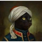 Ardalan Salam's photo