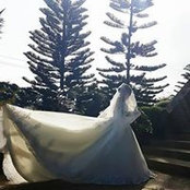 Rom Imperio-Onglao's photo