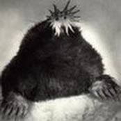 katrina cappello's photo