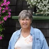 Vicki Gullicksons billede