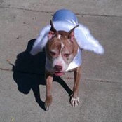 Brad Ehlers's photo