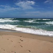 Cara Pillitteri's photo