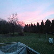 Roberta Shaw's photo