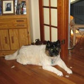 Pat Krueger's photo