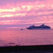 Diana Wilson's photo