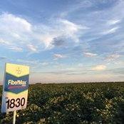 Kenny Melton's photo