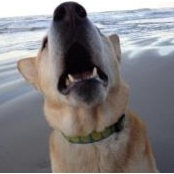 Linda Neufeld's photo