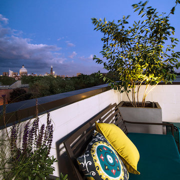 Bucktown Contemporary Rooftop Deck