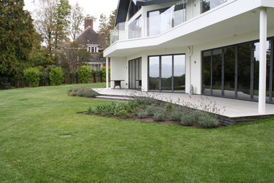Modern garden in Hampshire.