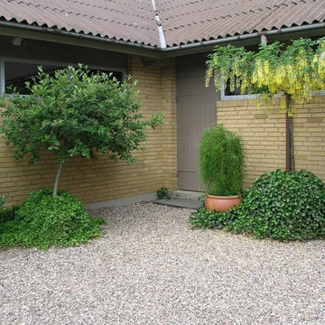 Plantetorvet