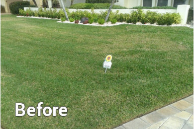 Organic Lawn Care Program  - Before and After
