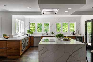 Inspiration for a modern kitchen remodel in DC Metro