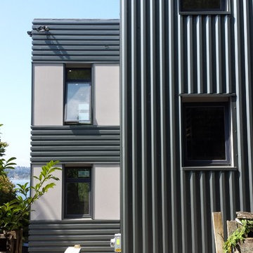 Mercer Island modern