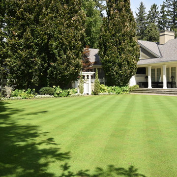Garden Rejuvenation