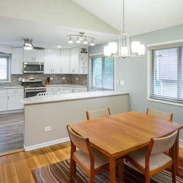 Morton Grove Kitchen