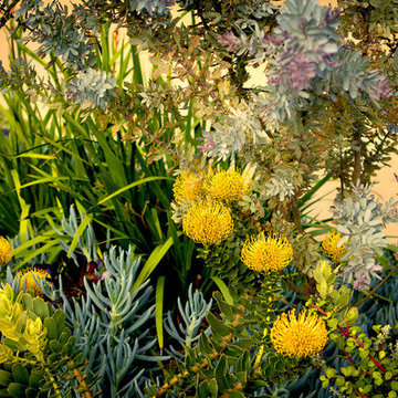 Beverly Grove, Monet Landscape -Front Yard