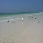 Photo de Michelle Garrity