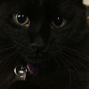 Julie Wright's photo