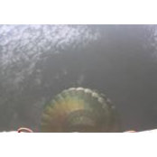 Laura Pardo's photo