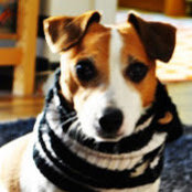 Ol Ki's photo