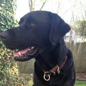 Thomas Weber's photo
