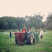 Brian Gaddis's photo
