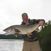 Donn Wilkinson's photo
