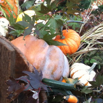 Custom/Seasonal Planters