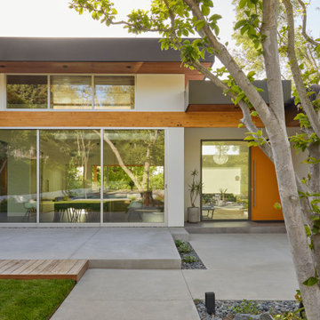 Modern Treehouse in the Hills