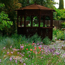 native plant gardens