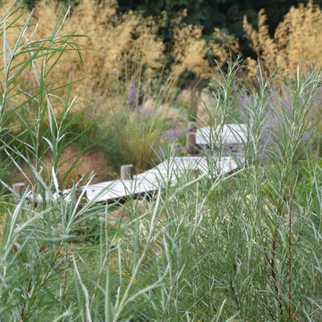 Wetlands Garden with deckwalk