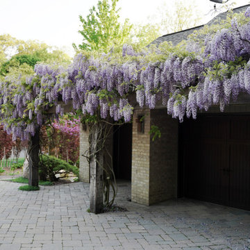 Informal European Garden