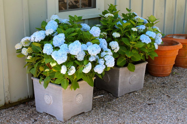 Traditional Landscape by Christine Darnell Gardens