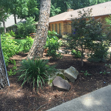 Flower Mound Landscape