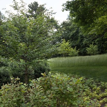 Beech Ledge