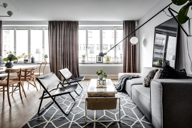 Scandinavian living room in Stockholm.
